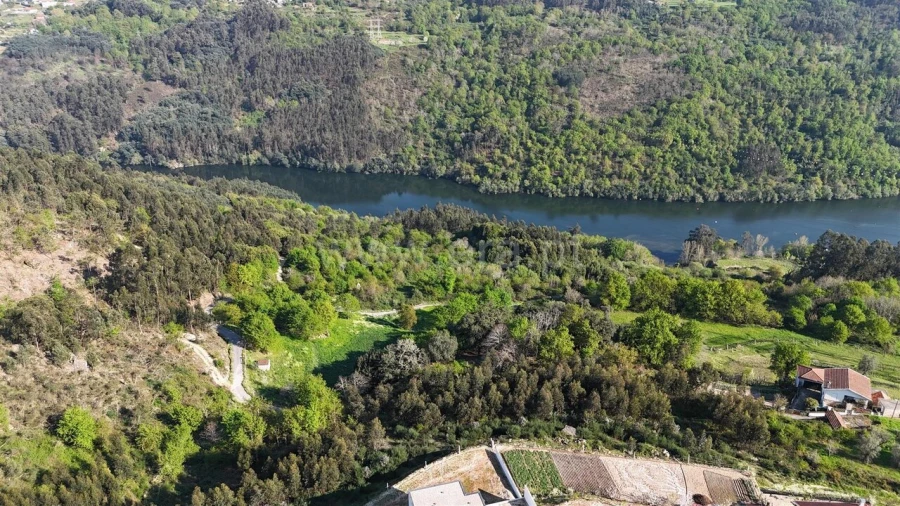 Terreno para Venda em Abragão Foto 9