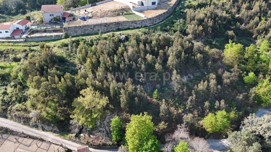 Terreno para Venda em Abragão Foto 7