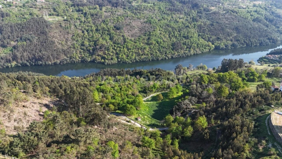 Terreno para Venda em Abragão Foto 4