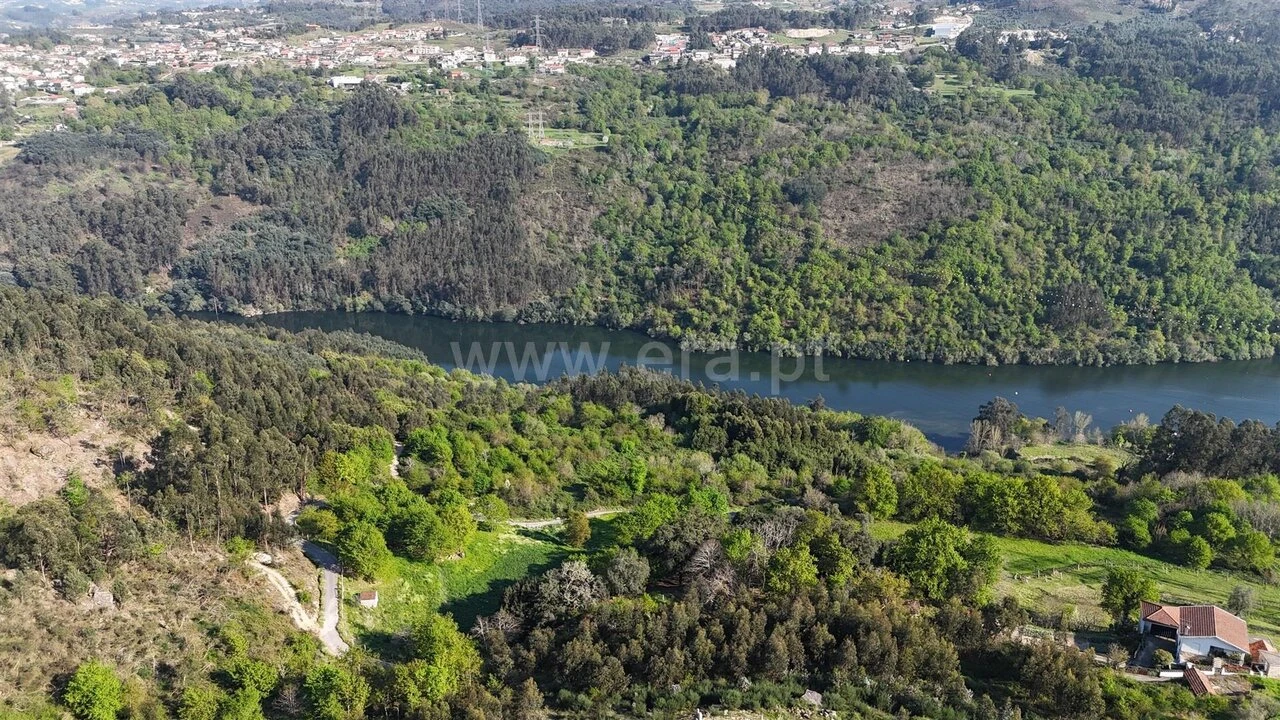 Terreno para Venda em Abragão Foto 8