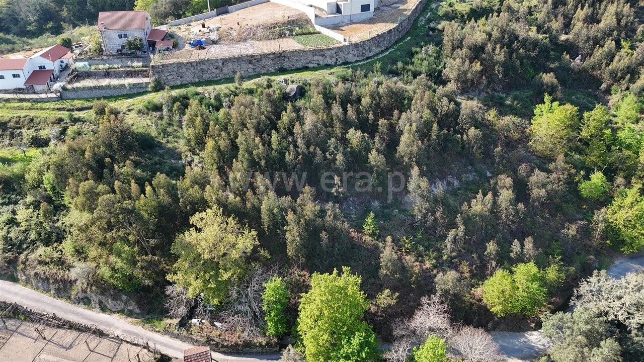 Terreno para Venda em Abragão Foto 7