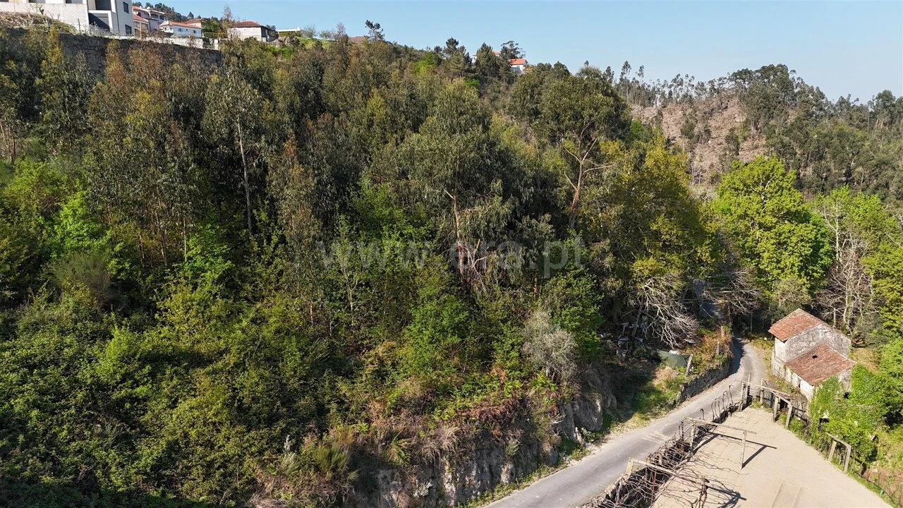 Terreno para Venda em Abragão Foto 5