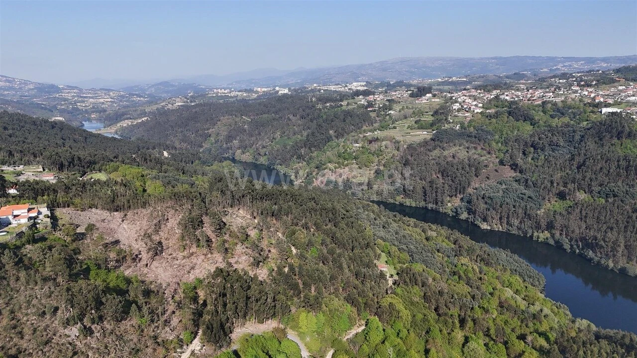 Terreno para Venda em Abragão Foto 16