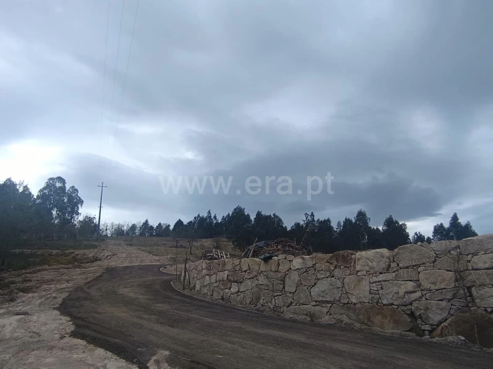 Quinta T0 para Venda em Marco Foto 8