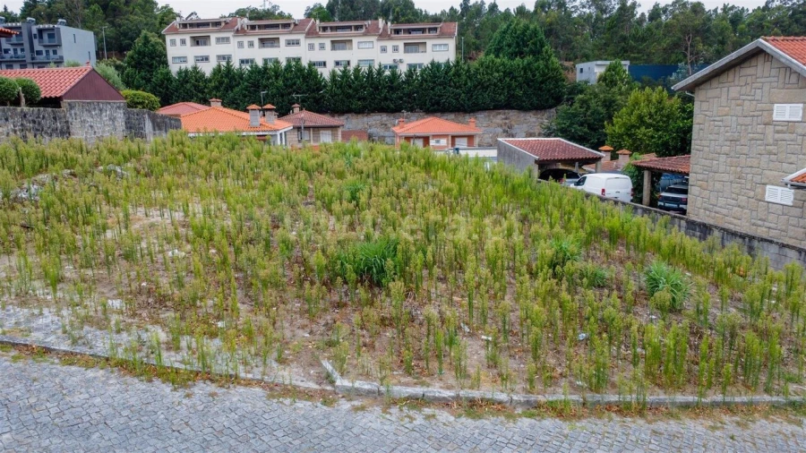 Terreno para Venda em Alpendorada, Várzea e Torrão Foto 2