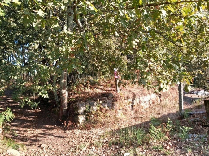 Terreno para Venda em Vila Boa do Bispo Foto 5