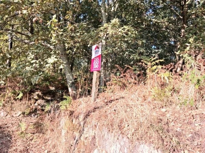 Terreno para Venda em Vila Boa do Bispo Foto 2