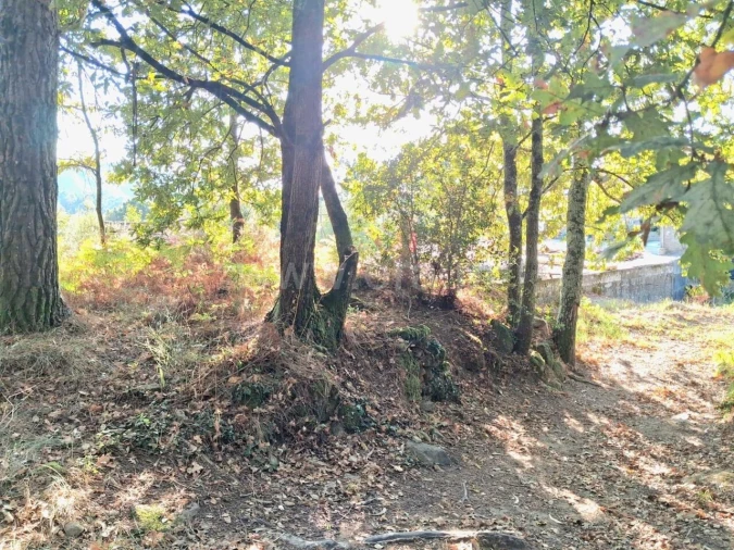 Terreno para Venda em Vila Boa do Bispo Foto 4