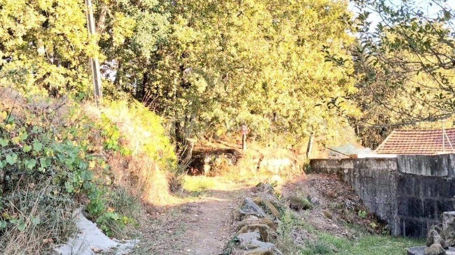 Terreno para Venda em Vila Boa do Bispo