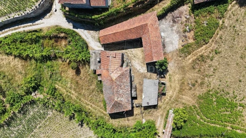 Terreno para Venda em Gove