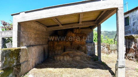 Terreno para Venda em Gove