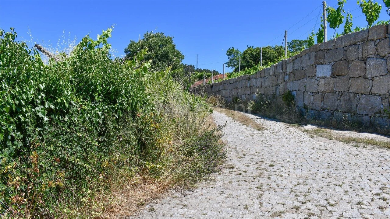 Terreno para Venda em Gove Foto 17