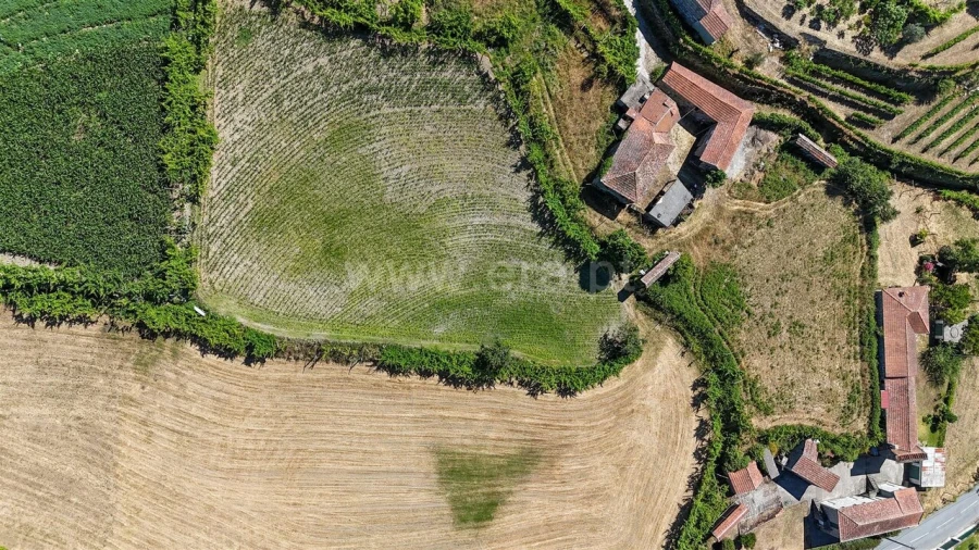 Terreno para Venda em Gove Foto 6