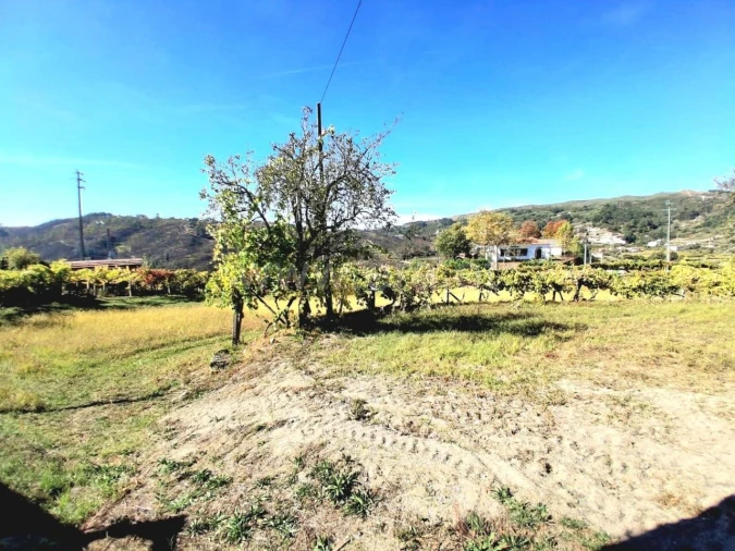 Terreno para Venda em Gove Foto 13