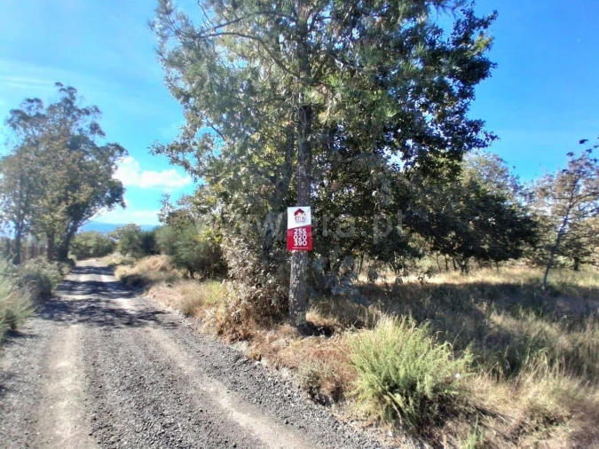 Terreno para Venda em Gove Foto 19