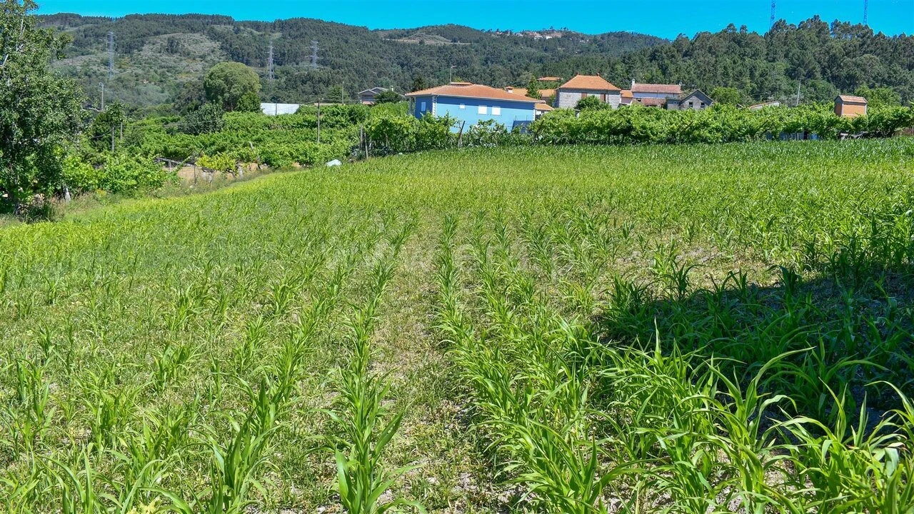 Terreno para Venda em Gove Foto 7