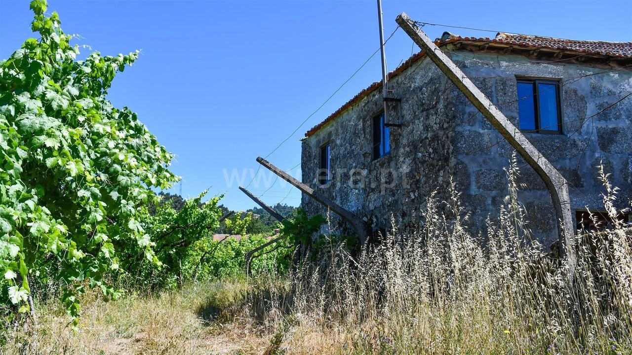 Terreno para Venda em Gove Foto 9