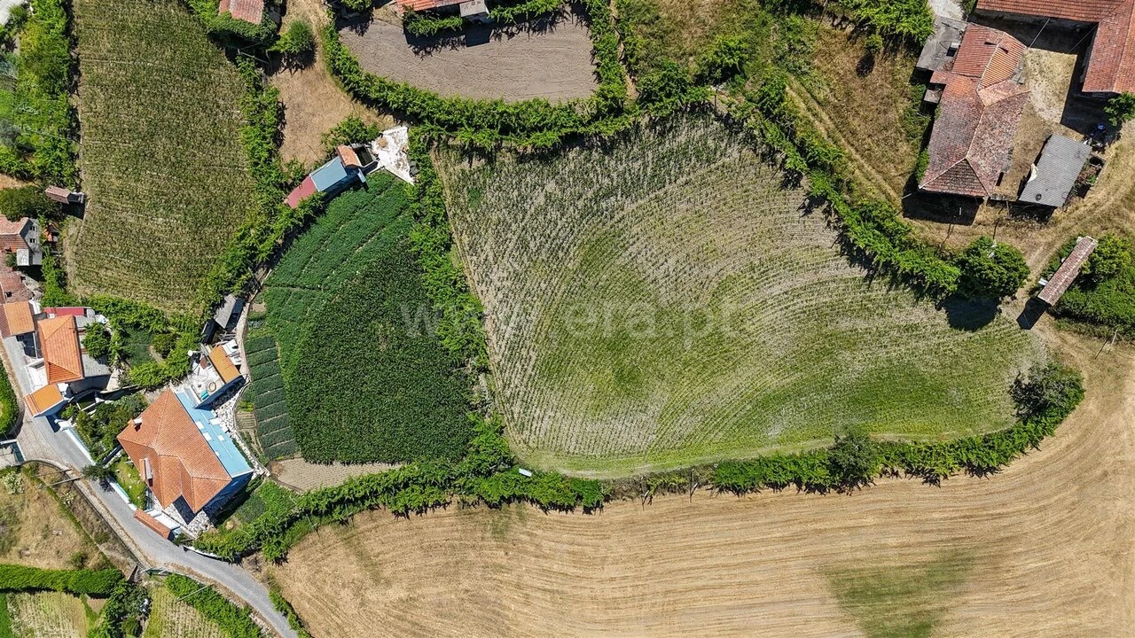 Terreno para Venda em Gove Foto 8