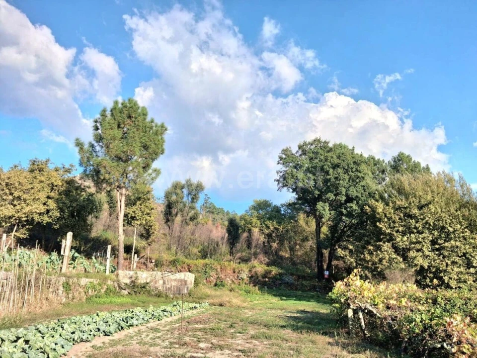 Terreno para Venda em Vila Boa do Bispo Foto 3