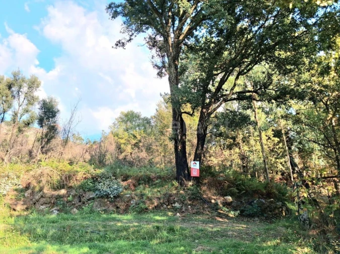 Terreno para Venda em Vila Boa do Bispo Foto 1