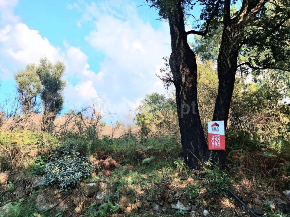 Terreno para Venda em Vila Boa do Bispo Foto 2