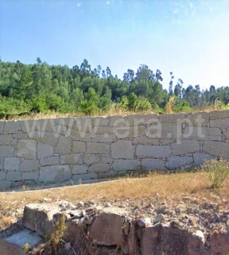 Terreno para Venda em Santiago de Piães Foto 5