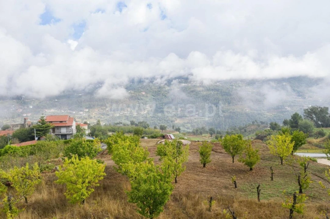 Terreno para Venda em Santiago de Piães Foto 4