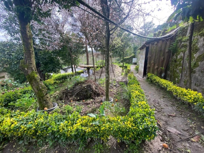 Moradia T0 para Venda em Paredes de Viadores e Manhuncelos Foto 8