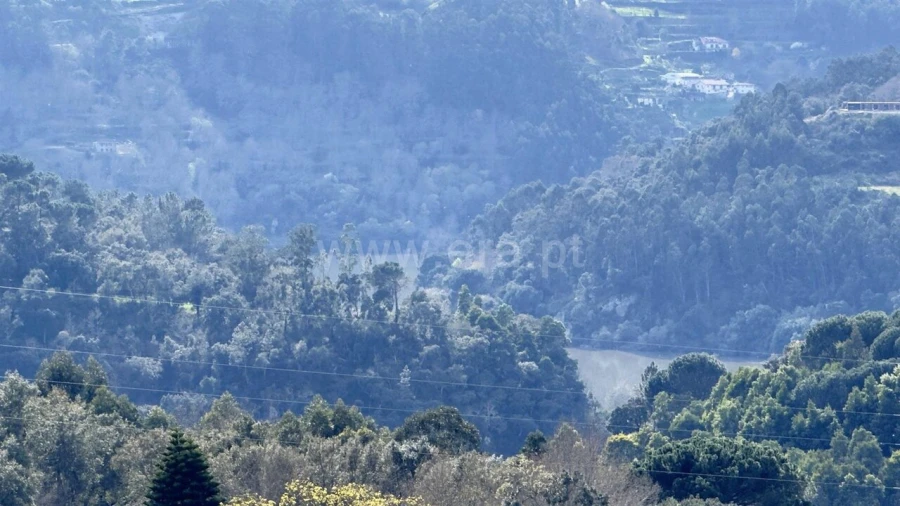 Moradia T0 para Venda em Alpendorada, Várzea e Torrão Foto 7