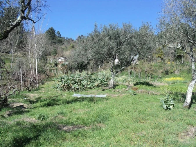 Moradia T0 para Venda em Sande e São Lourenço Foto 4