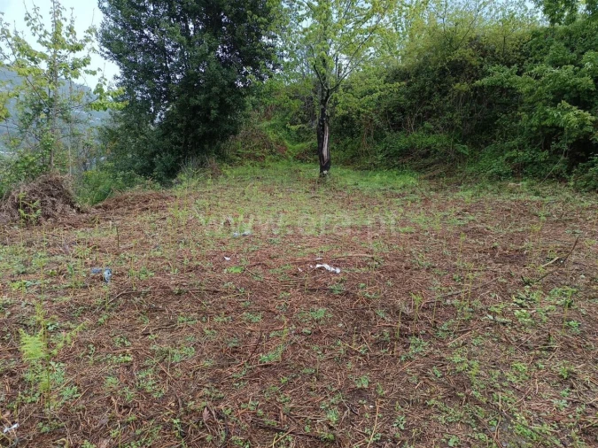 Moradia T0 para Venda em São Cristovão de Nogueira Foto 14