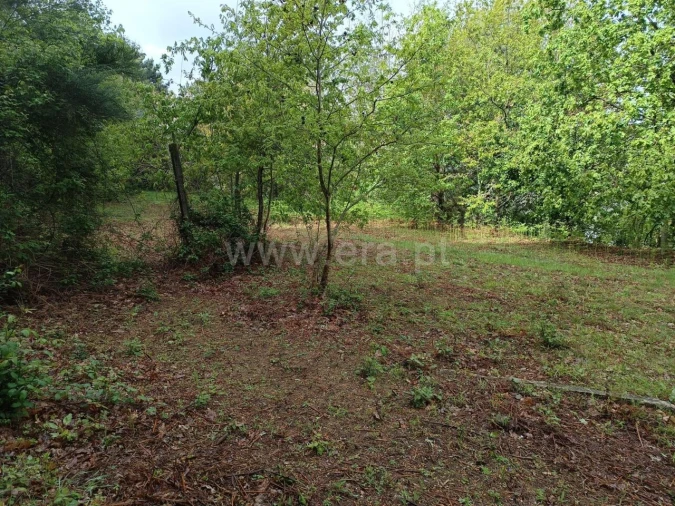 Moradia T0 para Venda em São Cristovão de Nogueira Foto 8