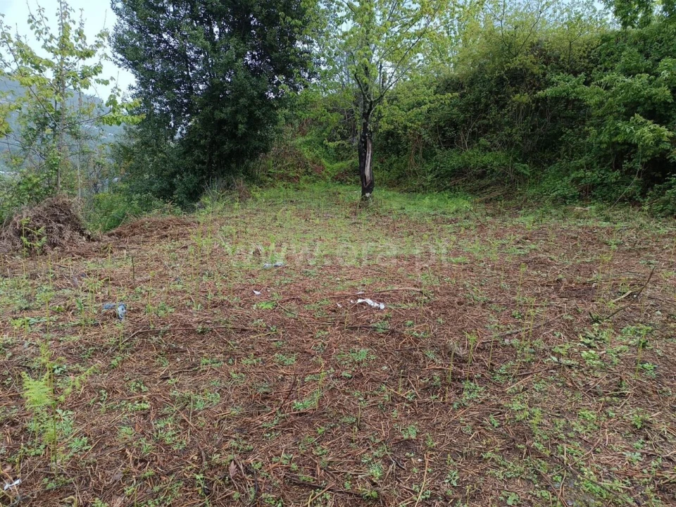 Moradia T0 para Venda em São Cristovão de Nogueira Foto 14