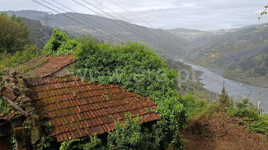 Quinta T0 para Venda em São Cristovão de Nogueira