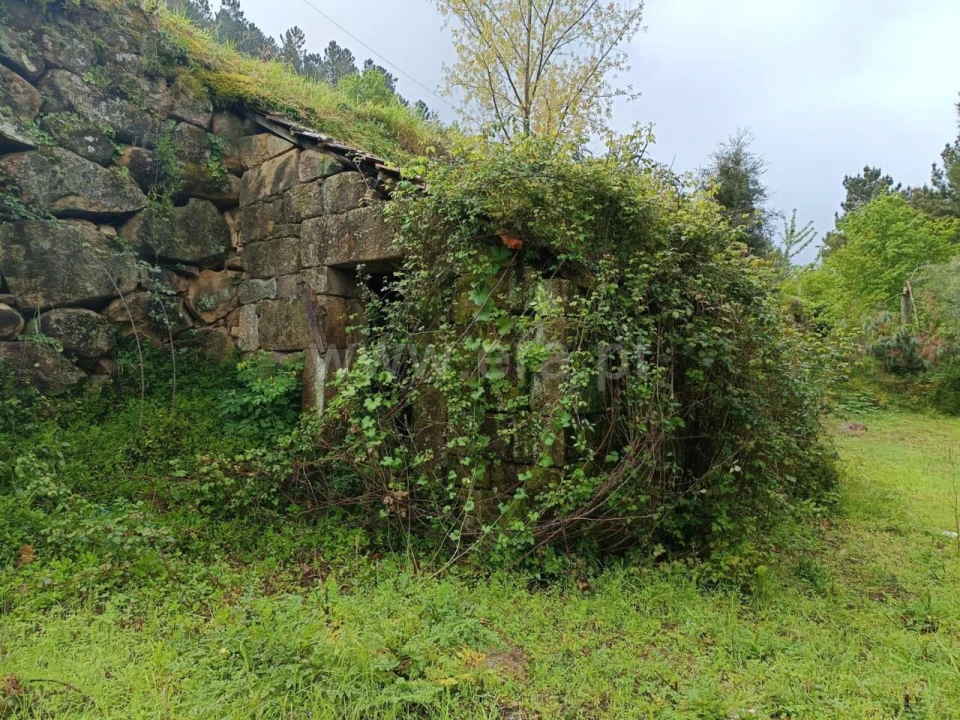 Moradia T0 para Venda em São Cristovão de Nogueira Foto 5