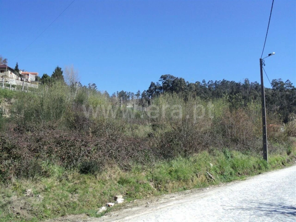 Terreno para Venda em Sande e São Lourenço Foto 3