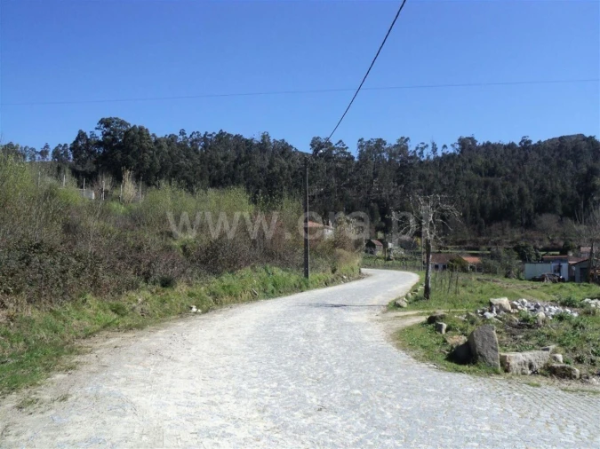 Terreno para Venda em Sande e São Lourenço Foto 2