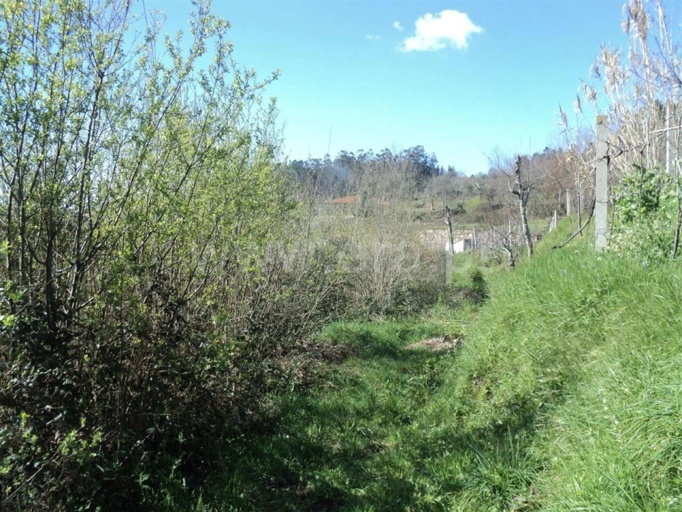 Terreno para Venda em Sande e São Lourenço Foto 4