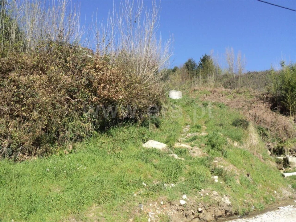 Terreno para Venda em Sande e São Lourenço Foto 5