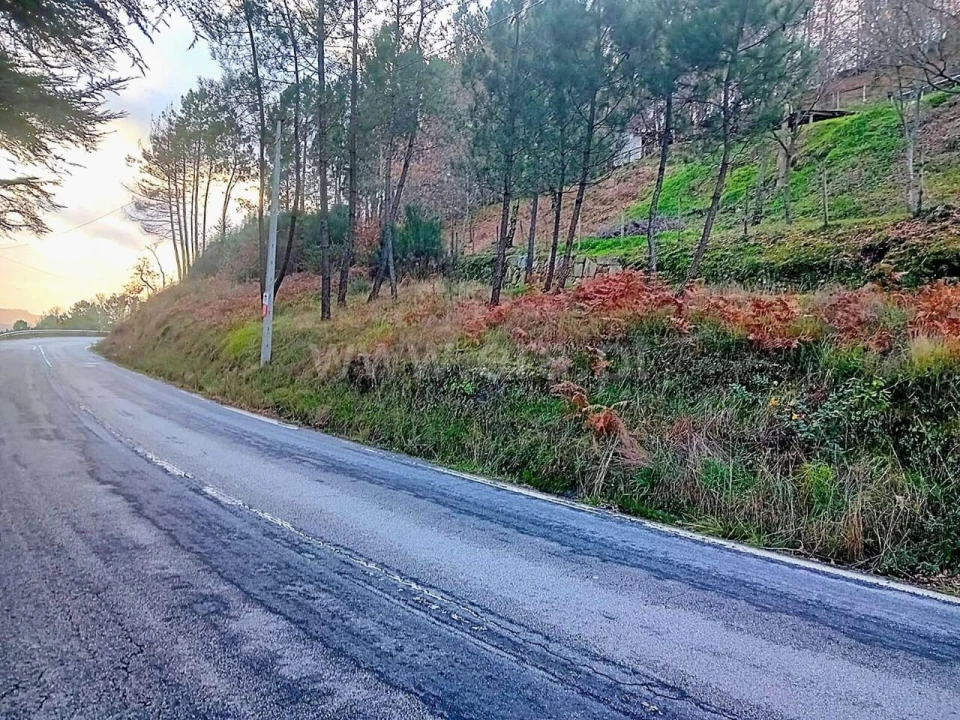 Moradia T1 para Venda em Loivos do Monte Foto 6