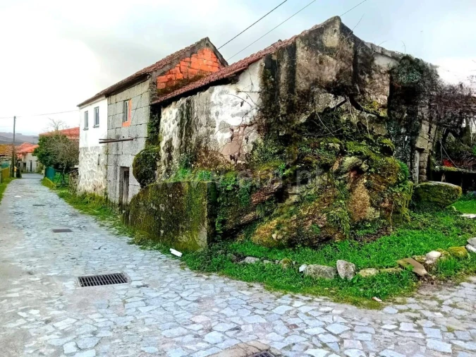 Moradia T1 para Venda em Loivos do Monte Foto 2