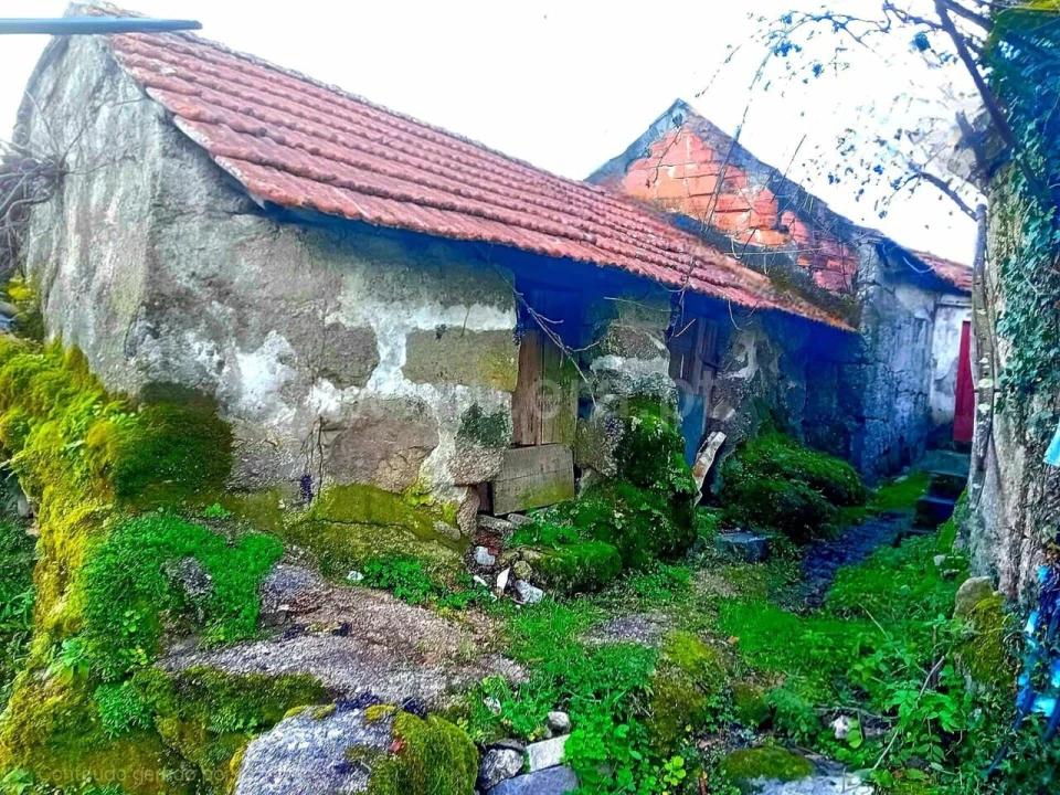 Moradia T1 para Venda em Loivos do Monte Foto 3