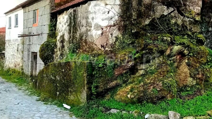 Moradia T1 para Venda em Loivos do Monte