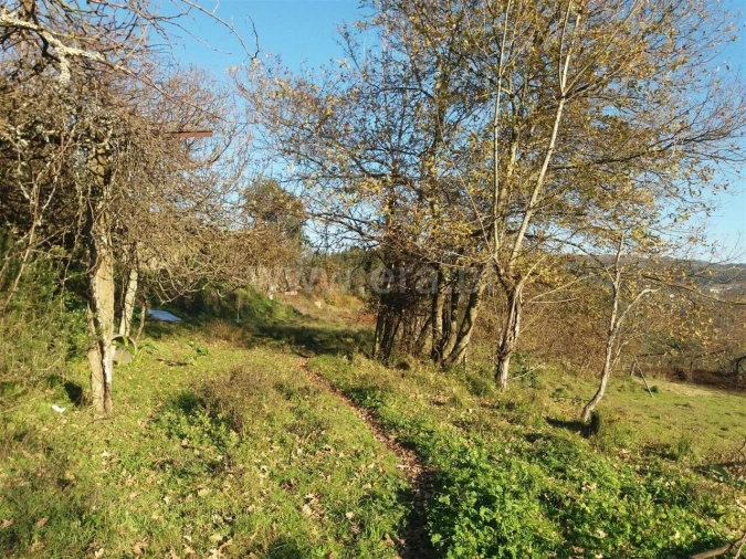 Moradia T1 para Venda em Sande e São Lourenço Foto 13