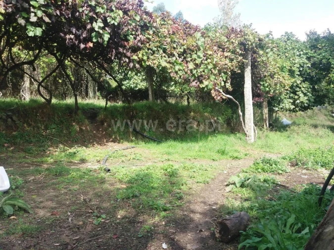 Moradia T1 para Venda em Sande e São Lourenço Foto 2