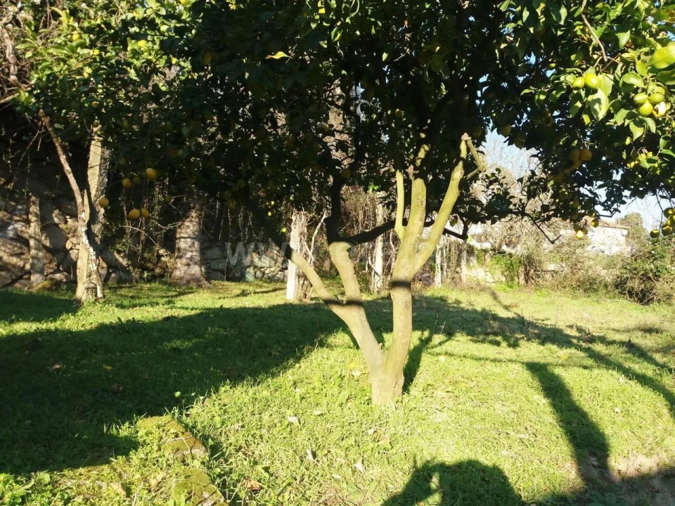 Moradia T1 para Venda em Sande e São Lourenço Foto 7