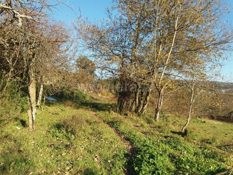 Moradia T1 para Venda em Sande e São Lourenço Foto 13