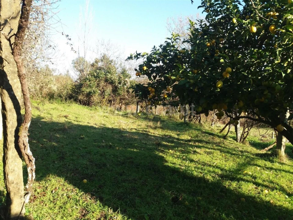 Moradia T1 para Venda em Sande e São Lourenço Foto 6