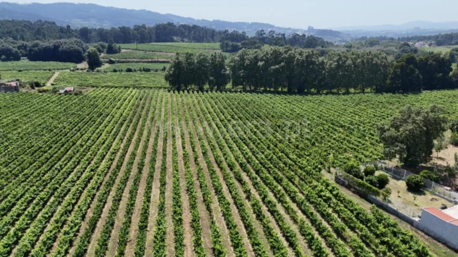 Terreno para Venda em Caide de Rei Foto 7