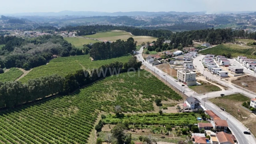 Terreno para Venda em Caide de Rei Foto 8